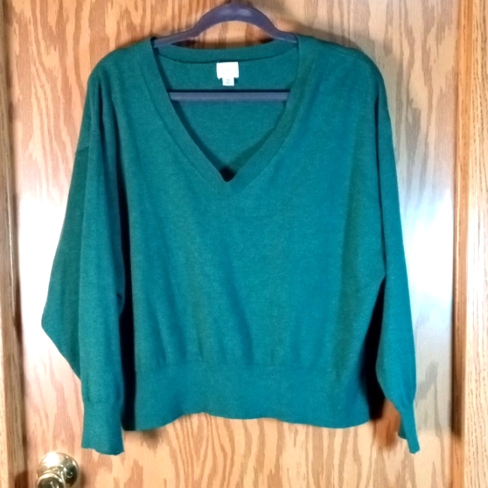 A New Day, Pull on V-neck pullover green sweater.
